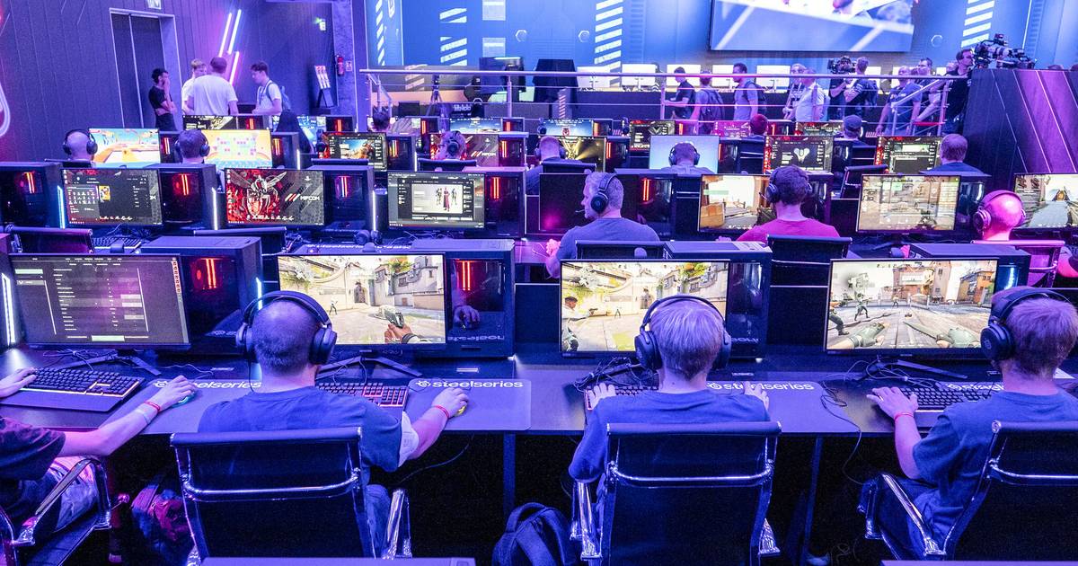 Tickets, Programm, Highlights & Livestream