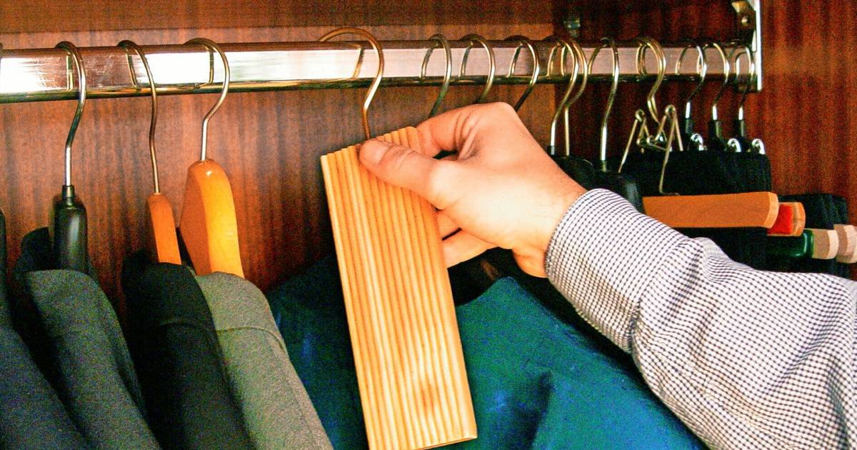 Wuppertaler Verbraucherzentrale gibt Tipps zur Schädlingsbekämpfung 