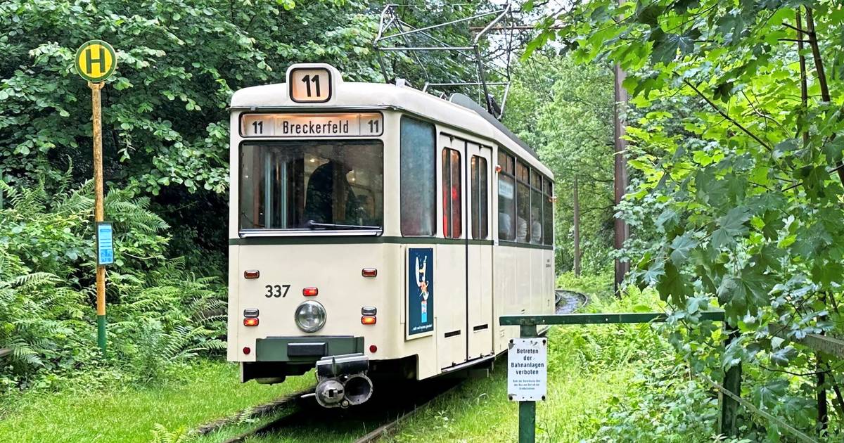 Pfingstfest in der Wuppertaler Kohlfurth trotz Regen ein Erfolg