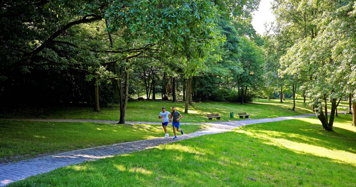 Für 3,6 Millionen soll im Norden der Stadt Wuppertal ein Klimagipfel entstehen