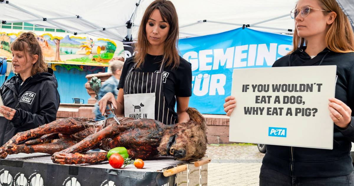 Das hat es mit dem Peta Protest auf sich