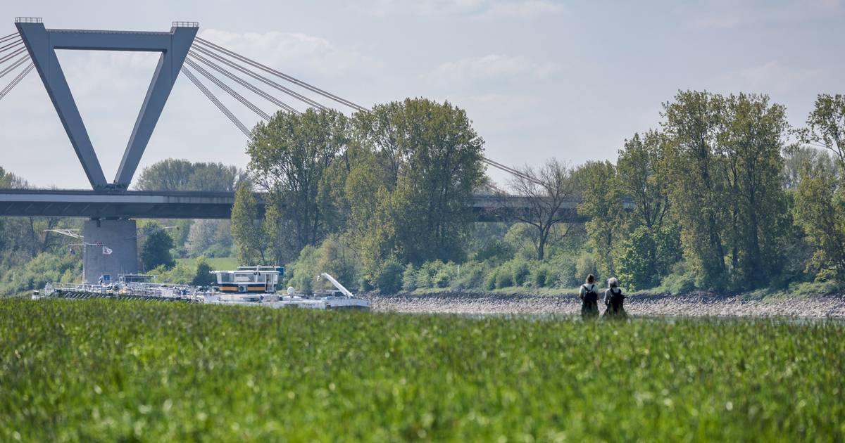 Flughafenbrücke zwischen Meerbusch und Düsseldorf gesperrt