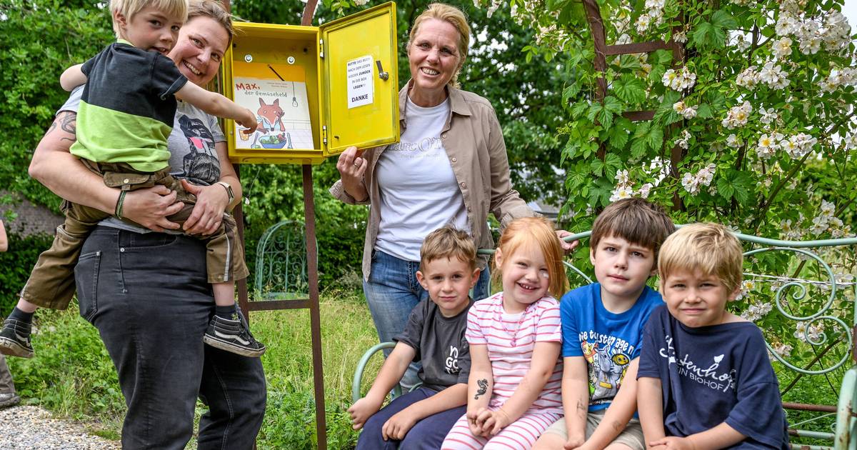 Die Bücher aus der Box sind wieder da