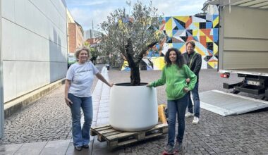 Wish Tree von Yoko Ono ist jetzt bei Krass e.V.