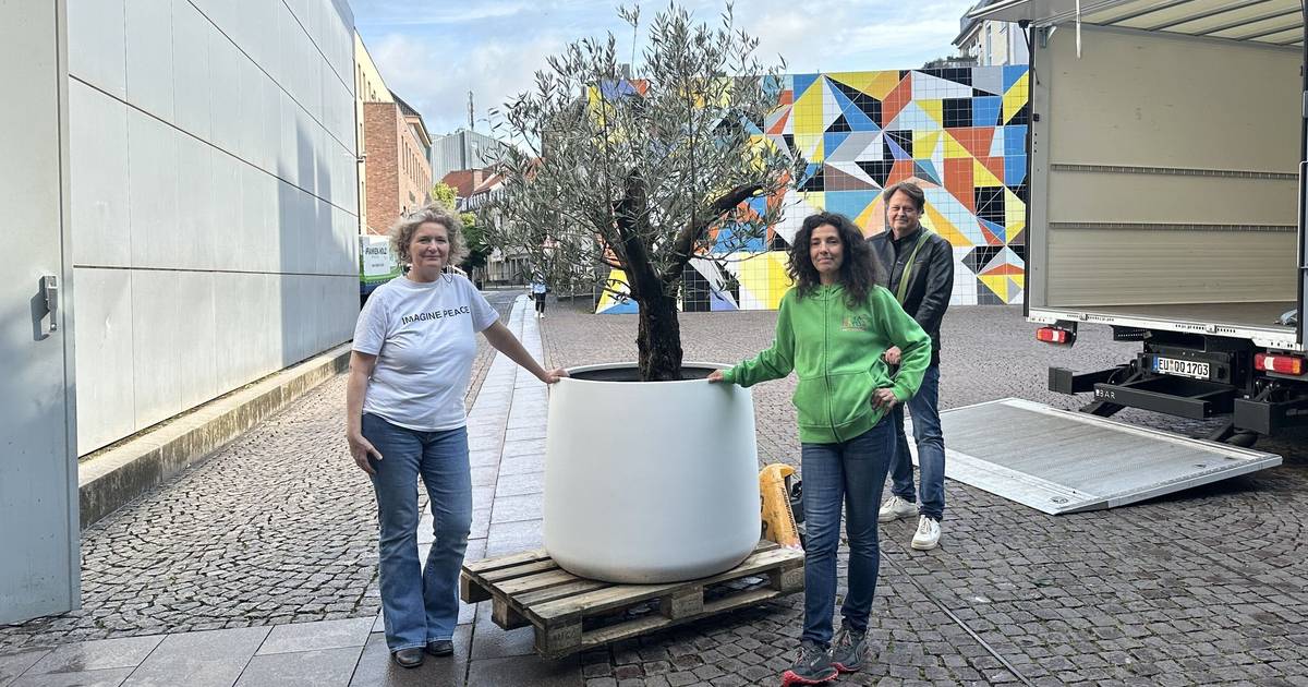 Wish Tree von Yoko Ono ist jetzt bei Krass e.V.