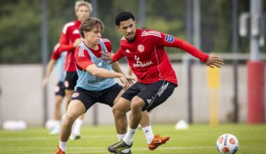 Warum F95 das Vertrauen für die Zukunft verdient hat