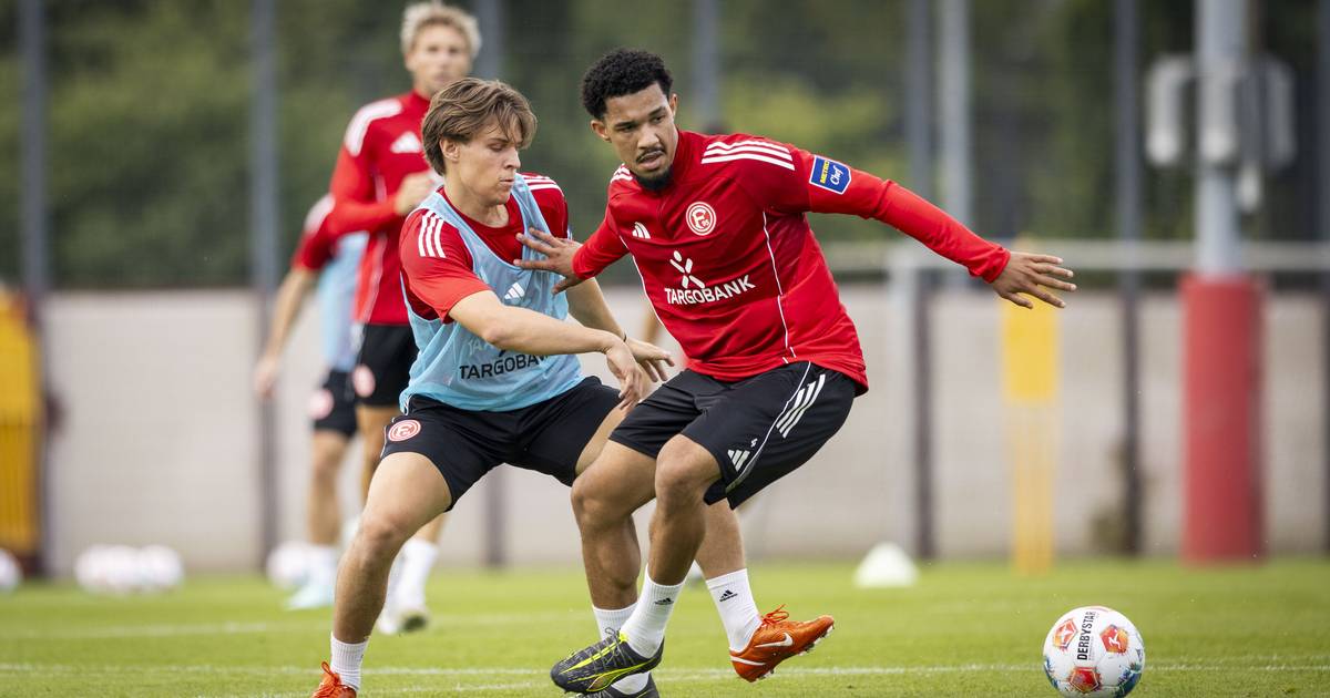 Warum F95 das Vertrauen für die Zukunft verdient hat
