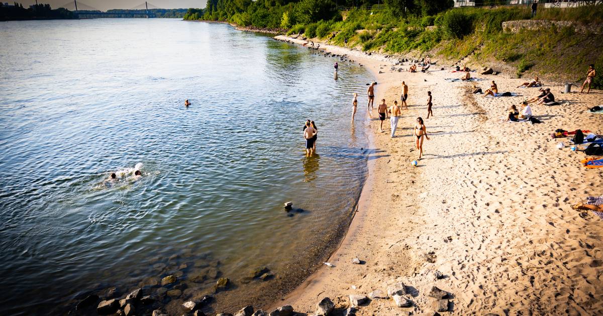 Warum das Schwimmen im Rhein gefährlich ist