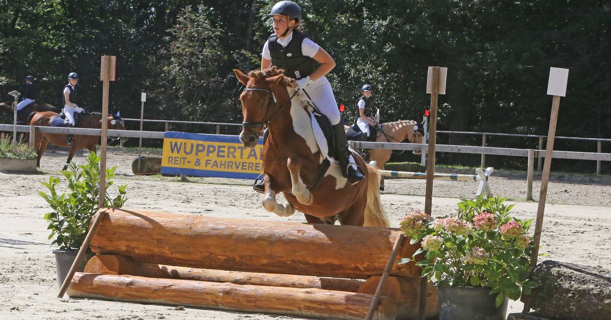 Wuppertaler Springertage an Pfingsten in der Gelpe