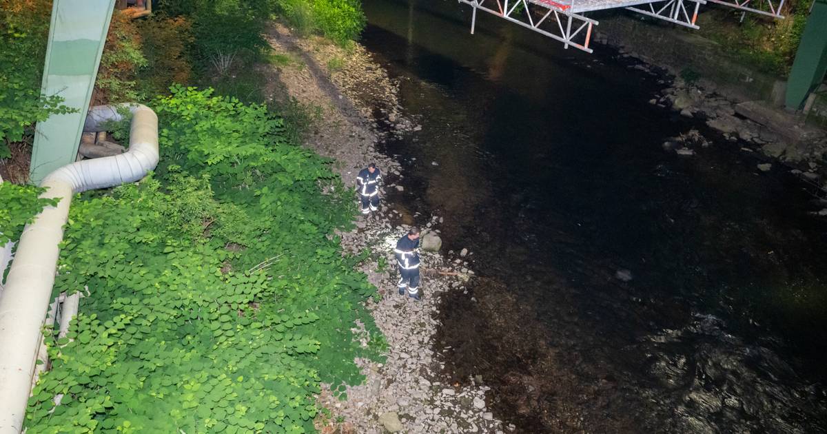 Mutmaßlicher Räuber klettert auf Baum und landet in der Wupper
