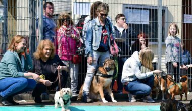 Stadt informiert über neues Tierheim in Asterlagen