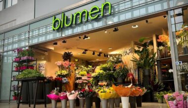 Blumengeschäft öffnet weiter – droht die Zwangsräumung?