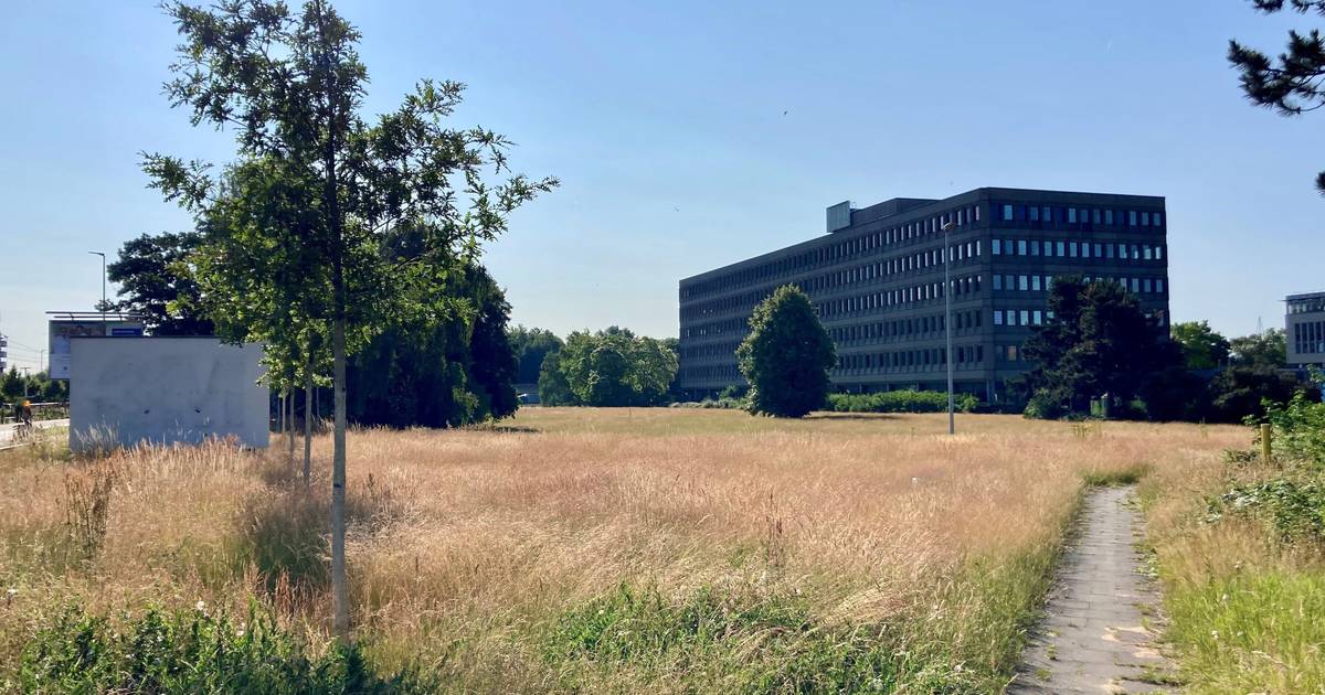 Verkauf der 3M-Hauptverwaltung bietet einmalige Chance