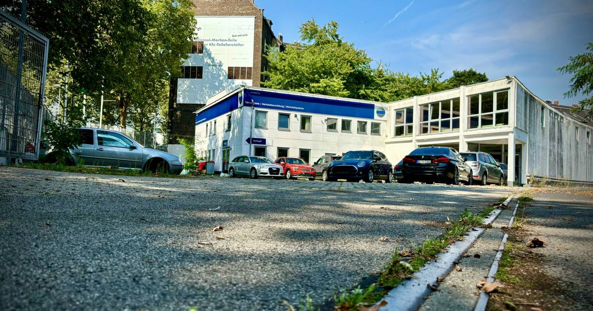 Volksbank Düsseldorf Neuss: Riskante Finanzierung von Immobilien-Projekten