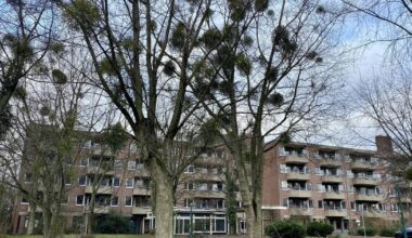 Pläne für Park Ludenberg und Am Bongard werden vorgestellt