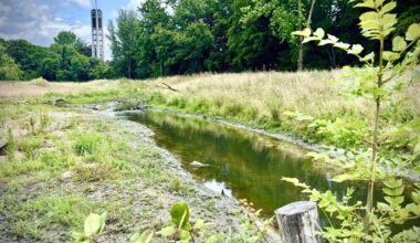 Renaturierung der Düssel in Vennhausen abgeschossen