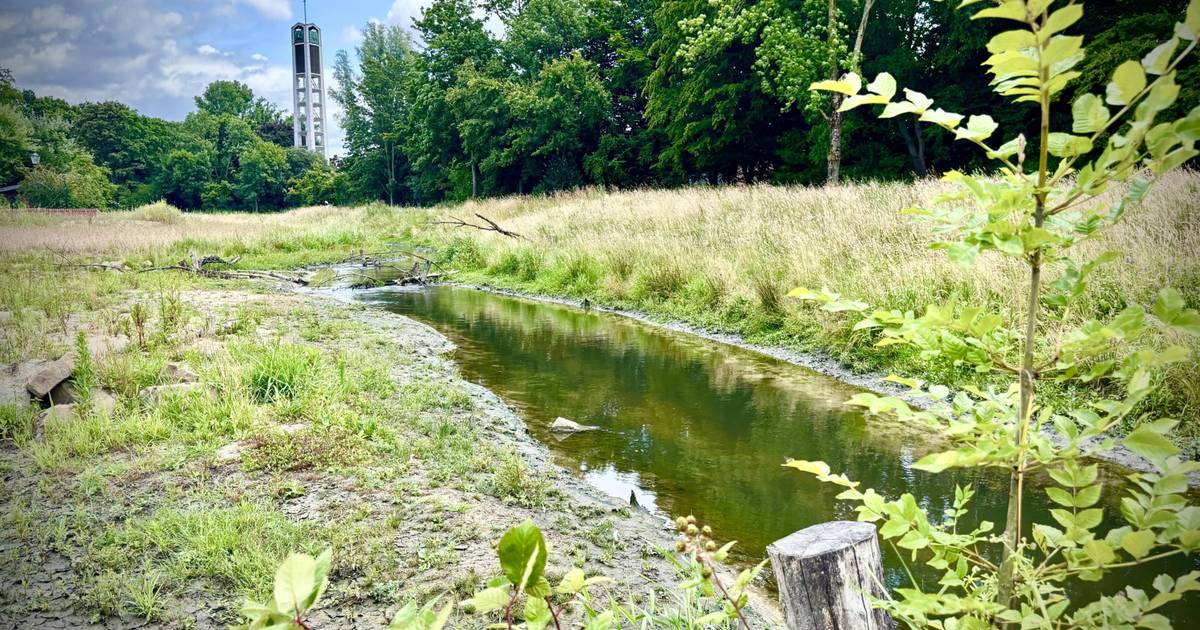 Renaturierung der Düssel in Vennhausen abgeschossen