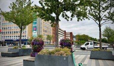 Klimaresistente Bäume sollen nun den Bahnhofsvorplatz kühlen