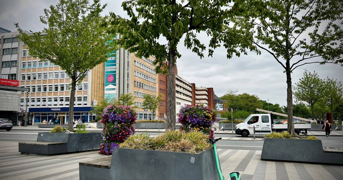 Klimaresistente Bäume sollen nun den Bahnhofsvorplatz kühlen