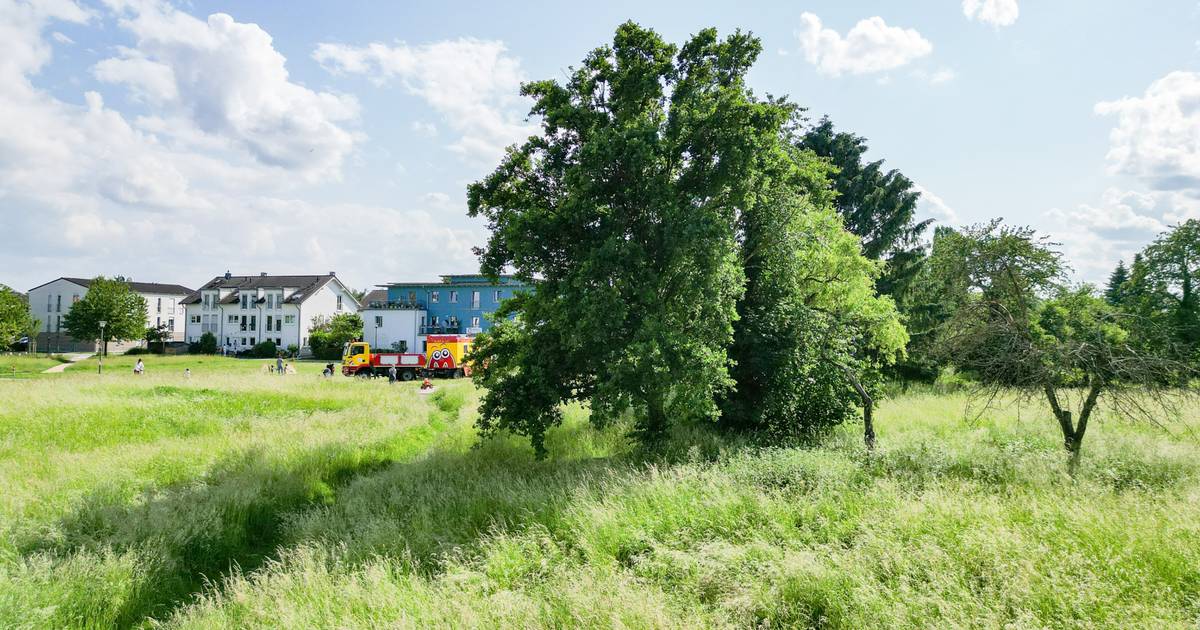 Bonn: Adelheidisschule in Vilich-Müldorf - Zeitplan und Infos