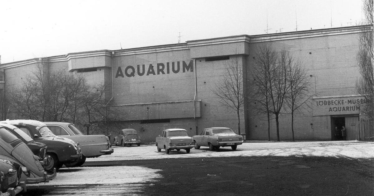 Aquazoo sucht Fotos aus 150 Jahren Geschichte