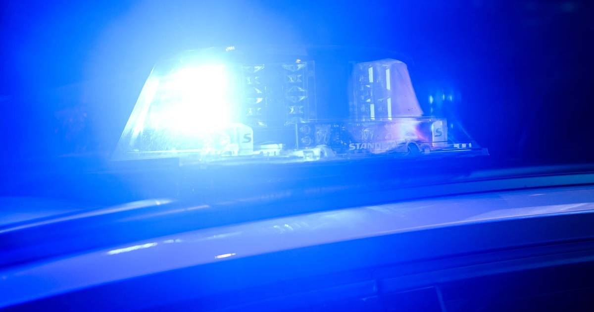 Sieben Handwerkerautos in Serie geknackt