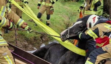 Die Einsatzzahlen für die Feuerwehr steigen