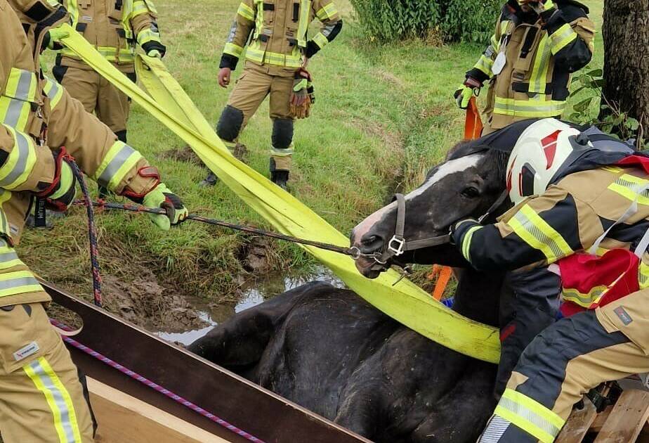 Die Einsatzzahlen für die Feuerwehr steigen