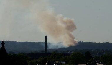 Waldbrände in Nordsachsen und Dresden