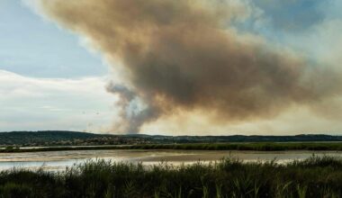 Zahlreiche Waldbrände und Rekordhitze von 46 Grad in Südeuropa