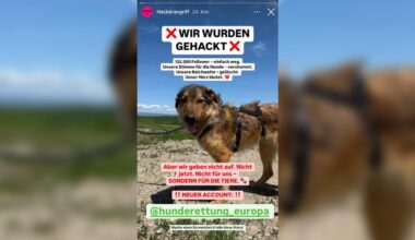Nordrhein-Westfalen: Hunderettungsverein aus Duisburg wird Opfer von Cyberkriminellen