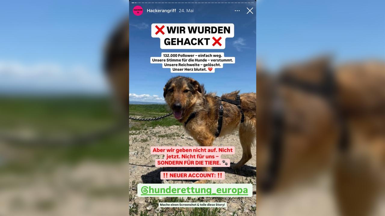 Nordrhein-Westfalen: Hunderettungsverein aus Duisburg wird Opfer von Cyberkriminellen