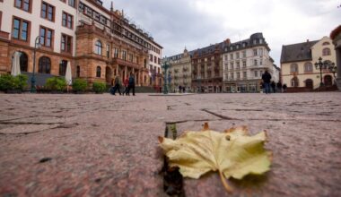 Wanderungsmotivbefragung in Wiesbaden zeigt: Wohnraumbedarf ist zentrale Herausforderung
