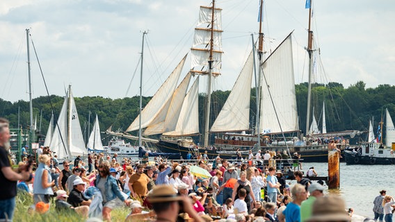 Zahlreiche große und kleine Segelschiffe fahren während der Windjammerparade auf der Kieler Förde. © picture alliance/dpa Foto: Jonas Walzberg