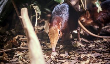 Zoo Leipzig: Tierpflegerin traut ihren Augen kaum – "Die Ersten"