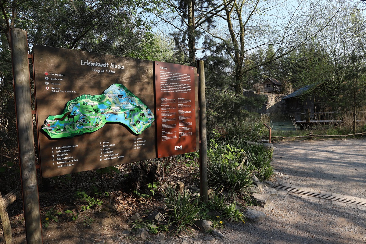 Zoom Gelsenkirchen feiert Nachwuchs - sie schweben unmittelbar in Gefahr