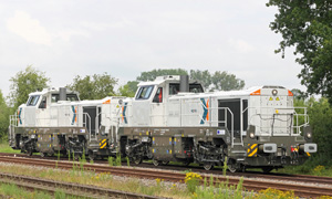 (c) Tomke Scheel P1567836 4185 221 1+4185 220 3