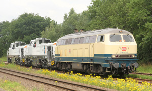 (c) Tomke Scheel P1567930 218 003 2+4185 221 1+4185 220 3