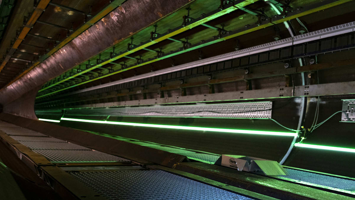 Olympia-Planung: Ein Hyperloop könnte Hamburg und Kiel verbinden