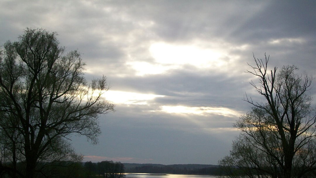 Was wir lesen, was wir schauen (122)