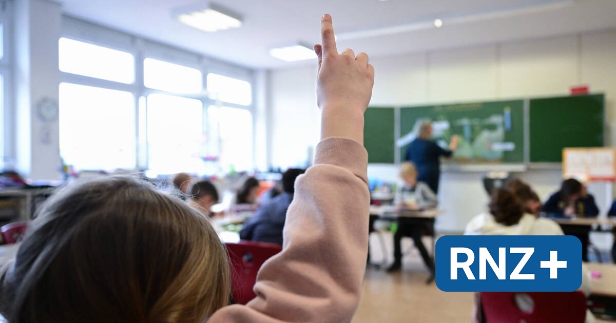 Mannheim: ___FDP und MfM verlangen Aufklärung nach Lehrstellen-Panne - Mannheim und Metropolregion Rhein-Neckar - Nachrichten und Aktuelles