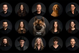 Die Werbeagentur Dschoy wirbt auf ihrer Homepage gezielt mit Fotos ihrer tierischen Mitarbeiter.