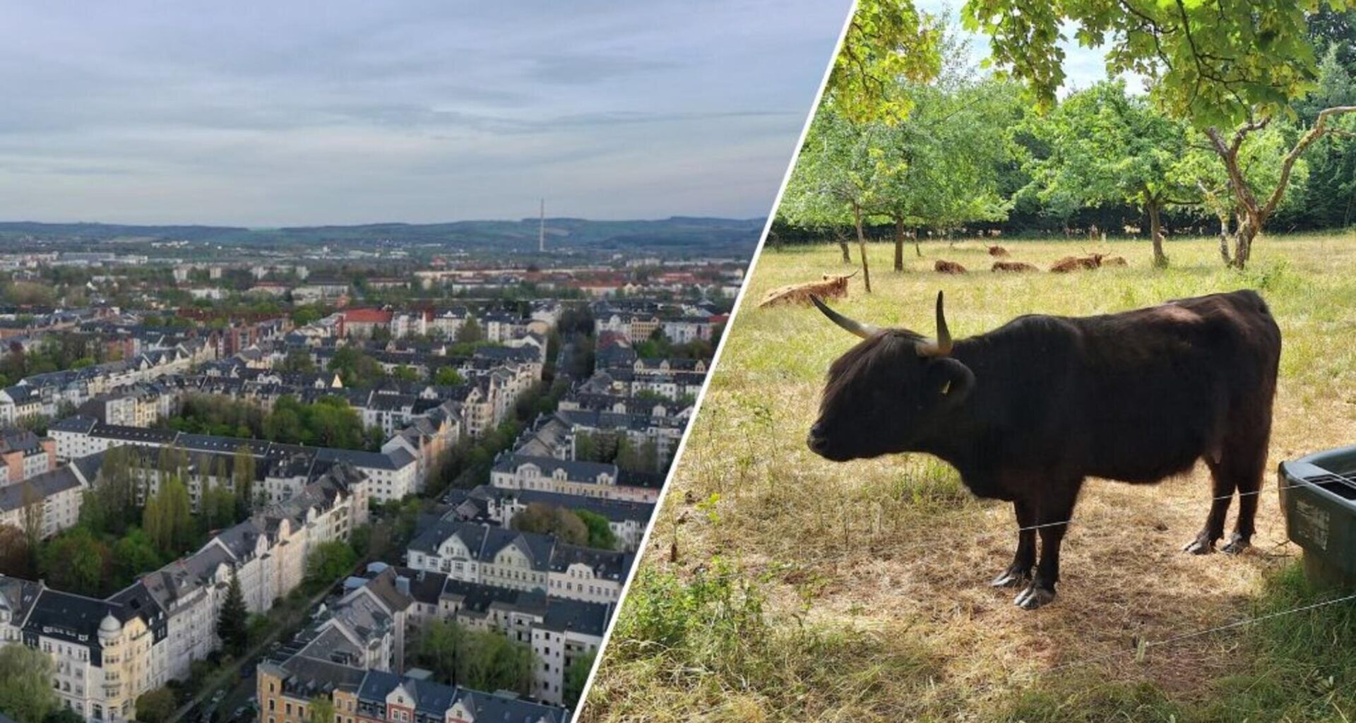 Warum Chemnitz zwei Kaßberge hat