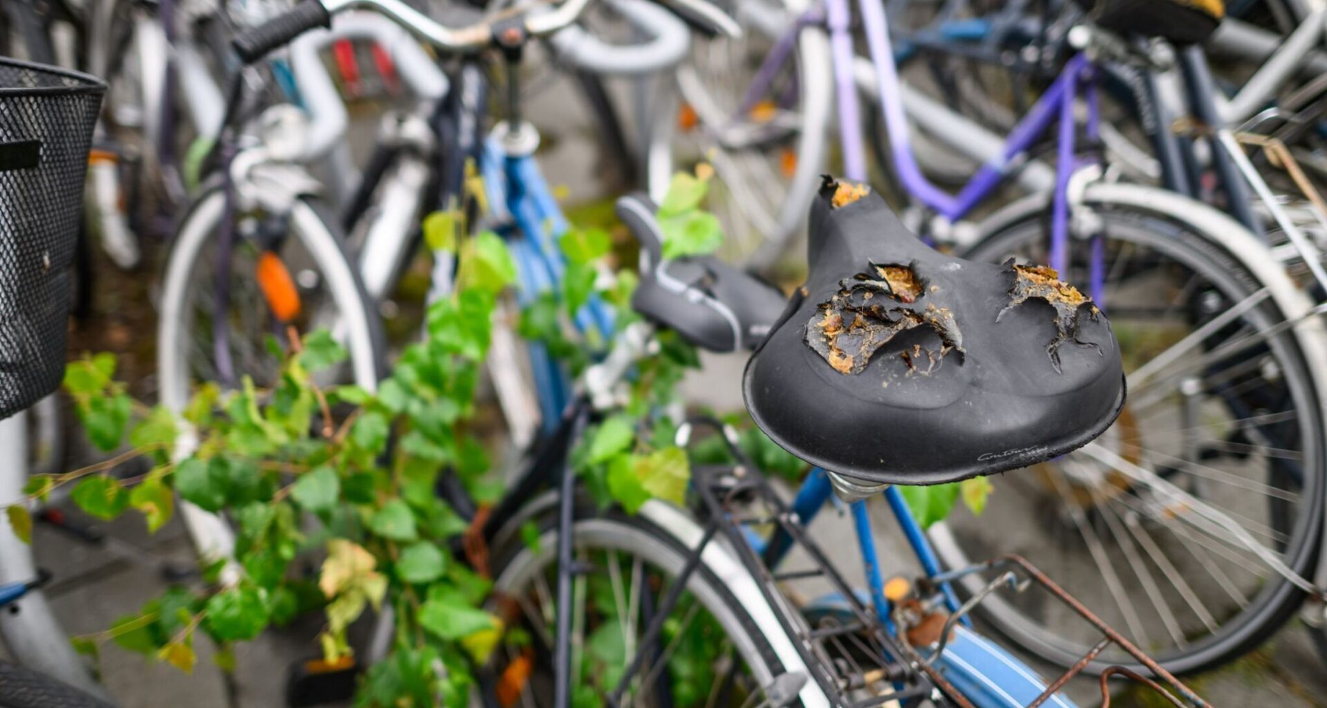 Kommunen müssen Hunderte Schrottfahrräder entsorgen
