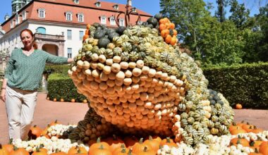 Kürbisfestival taucht Schlosspark Lichtenwalde wieder in Orange – Was ist diesmal anders?