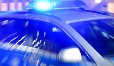 Was geschah im Gebüsch? Polizei Chemnitz vermutet Sexualdelikt