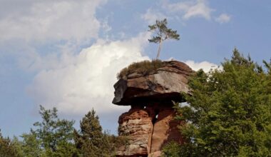 Was tun in den Ferien? SWR Aktuell heute vor Ort am Teufelstisch