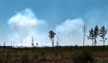 Trockenheit: Waldbrände unter Kontrolle - Evakuierung von Ortsteil vorbei