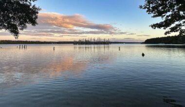 Ausblick auf eine Insel im Scharmützelsee, Bad Saarow, Brandenburg (Quelle: dpa)