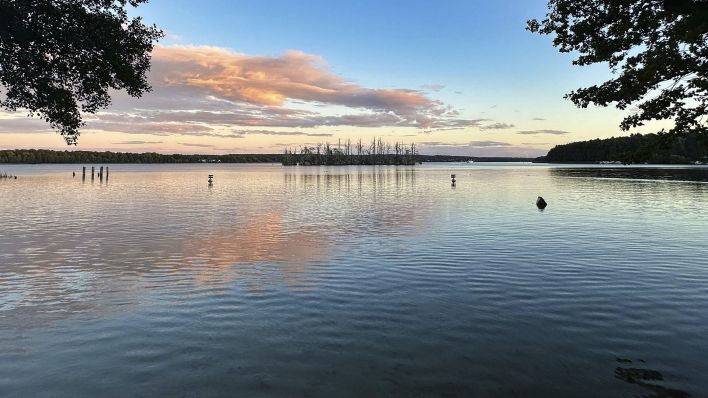 Ausblick auf eine Insel im Scharmützelsee, Bad Saarow, Brandenburg (Quelle: dpa)